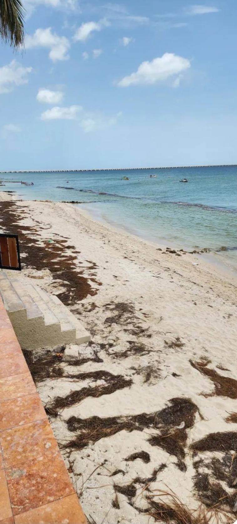 Condominios Orca Progreso  Bagian luar foto